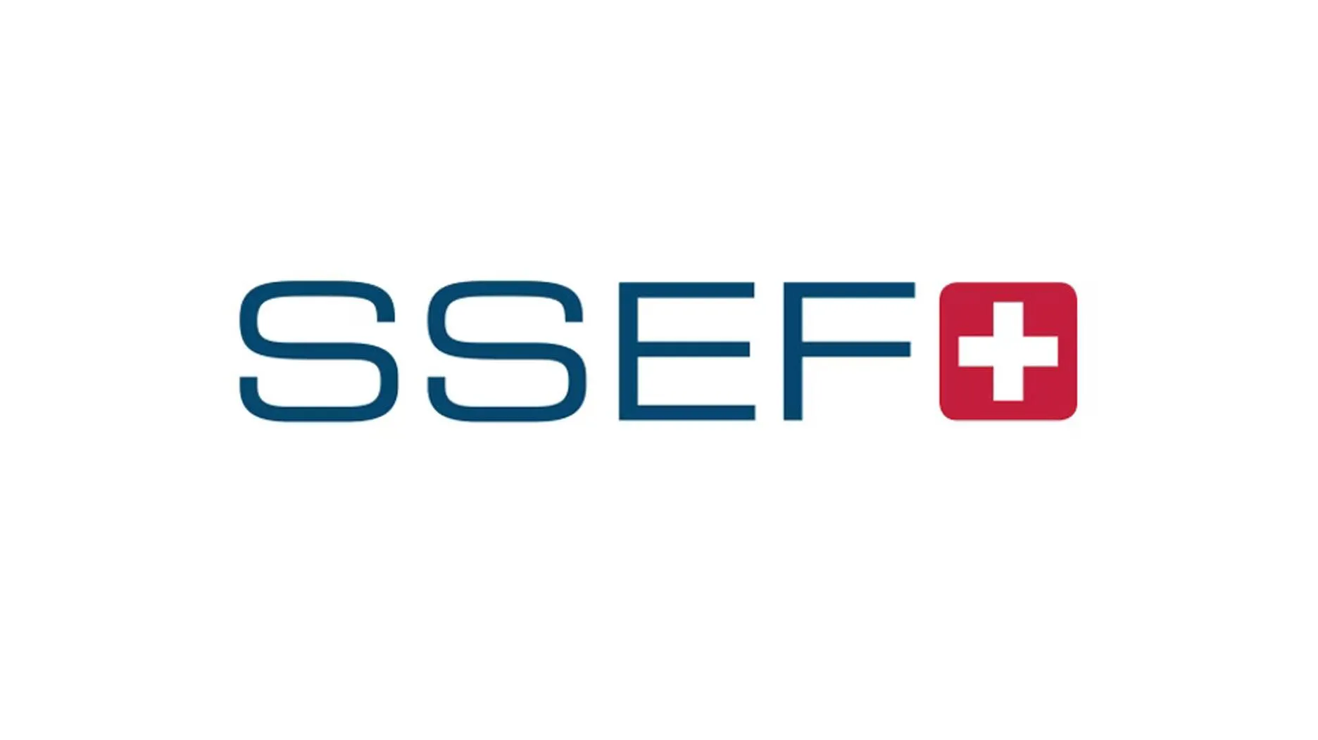 SSEF: Геммологические стипендии 2026 в Швейцарии