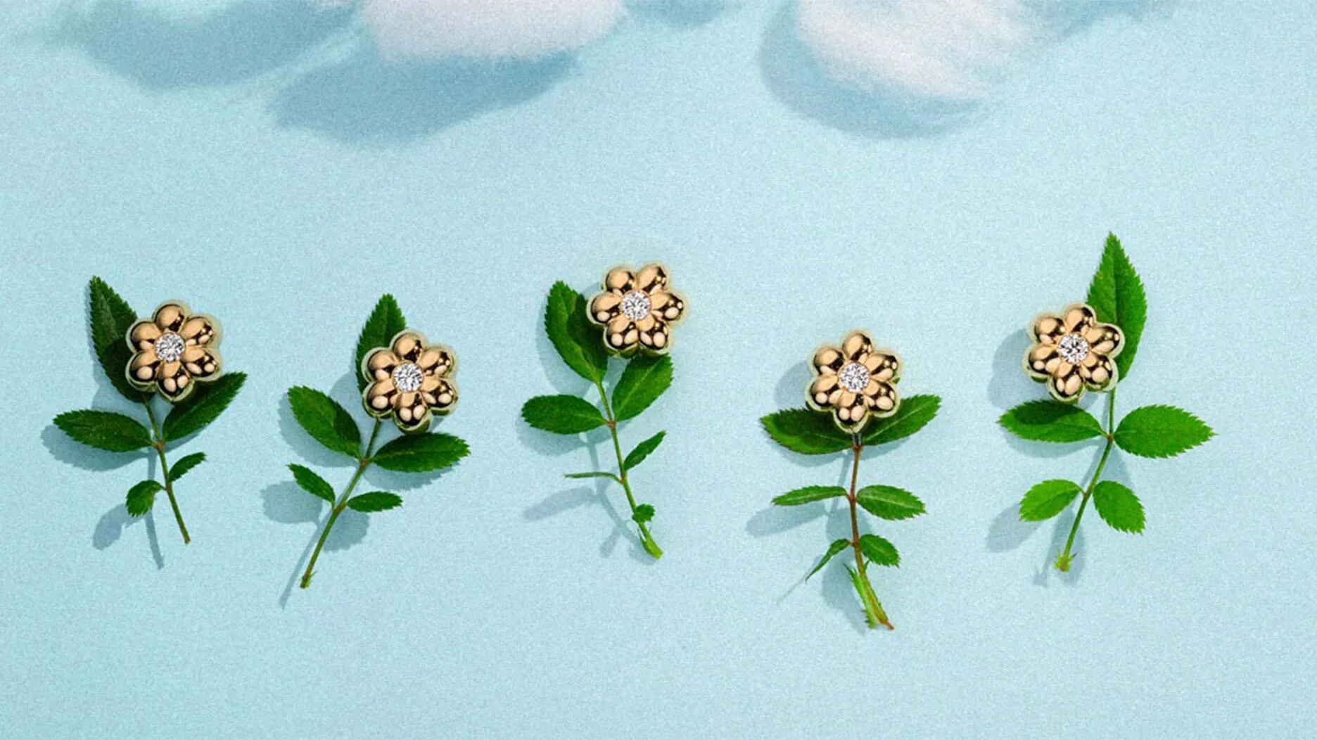 Коллекция Flower Puff от Boochier –...