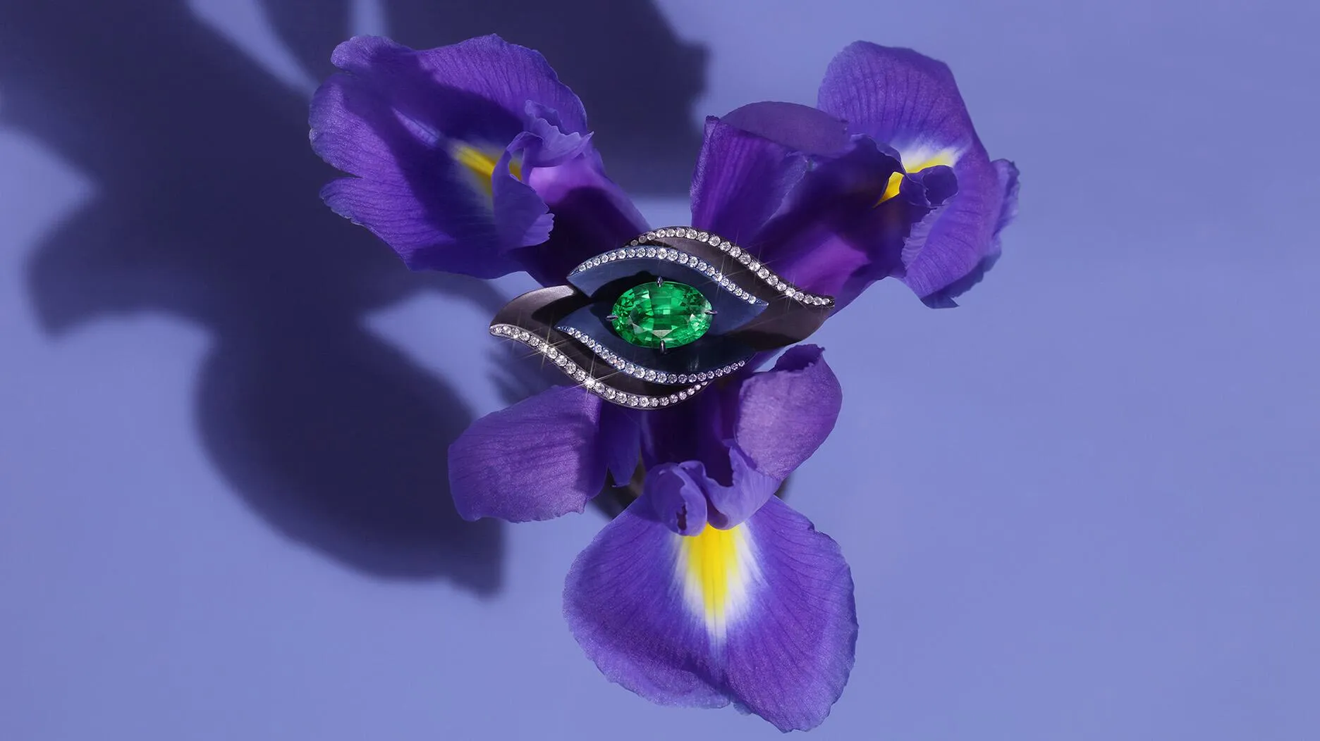 Коллекция украшений "Сад Дали" от А...